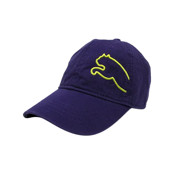 Gorra Puma Big Cat